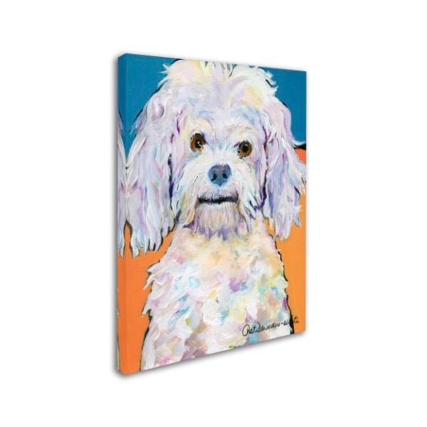 Pat Saunders-White 'Lulu' Canvas Art,24x32